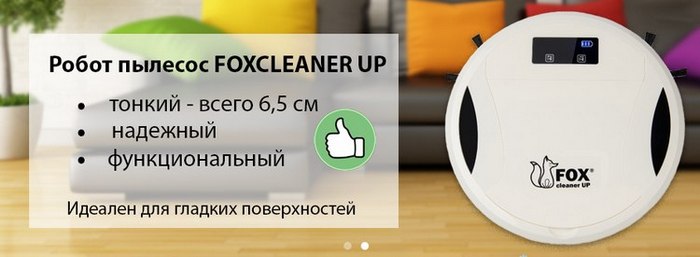 Foxcleaner Up