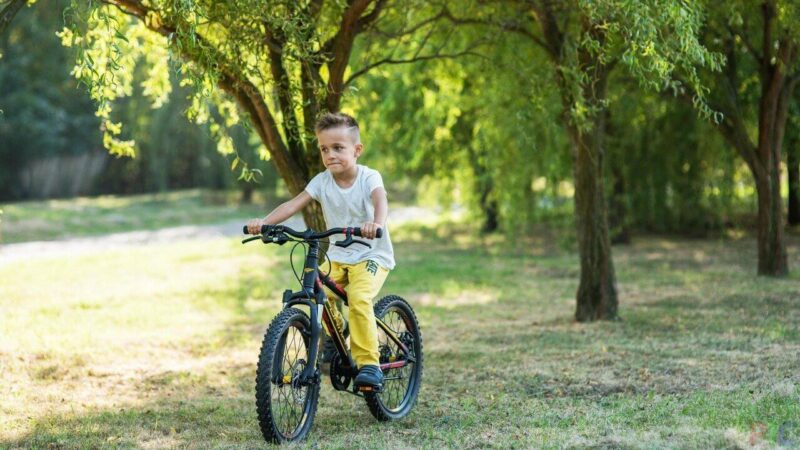 Вы сейчас просматриваете Топ-7 детских велосипедов для мальчиков и девочек от 5 лет