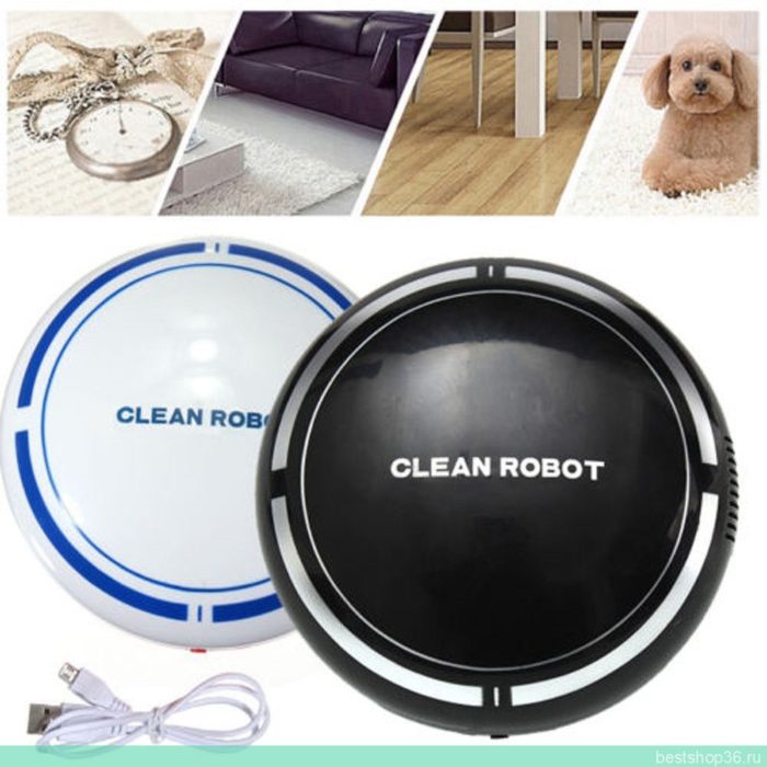 Clean sweep robot