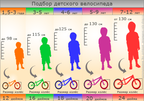 Критерии выбора велосипеда для девочки
